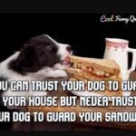 Inyay/Never trust your dog to guard your sandwich.