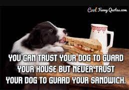 Inyay/Never trust your dog to guard your sandwich.